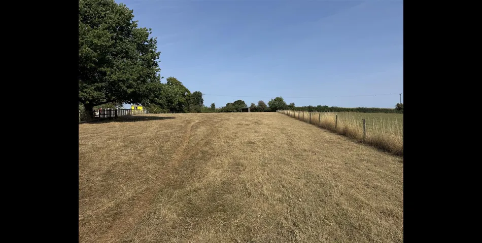 Paddock at Aller Cross - Nr Kentisbeare