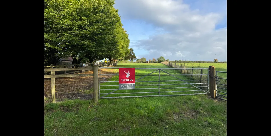 Paddock at Aller Cross - Nr Kentisbeare