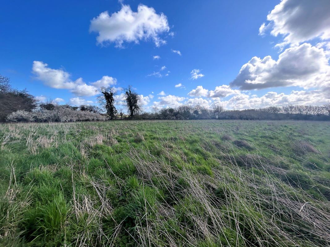 studio property for sale