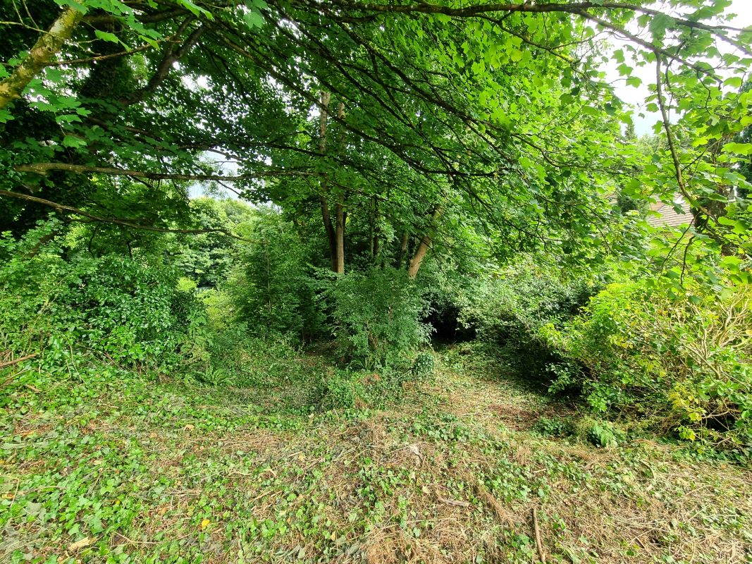 studio property for sale
