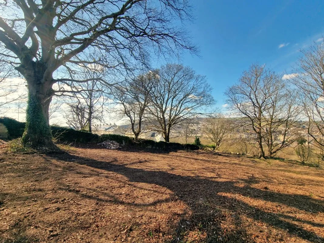 studio property for sale