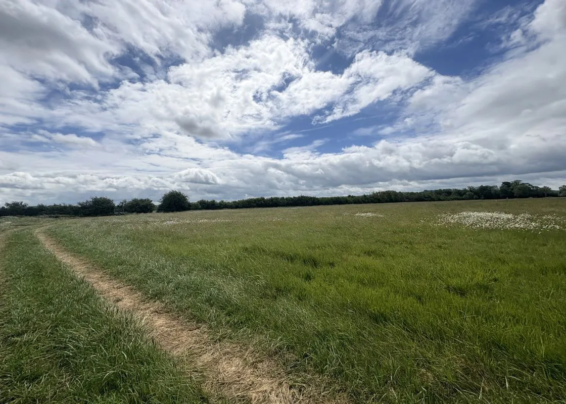 studio property for sale