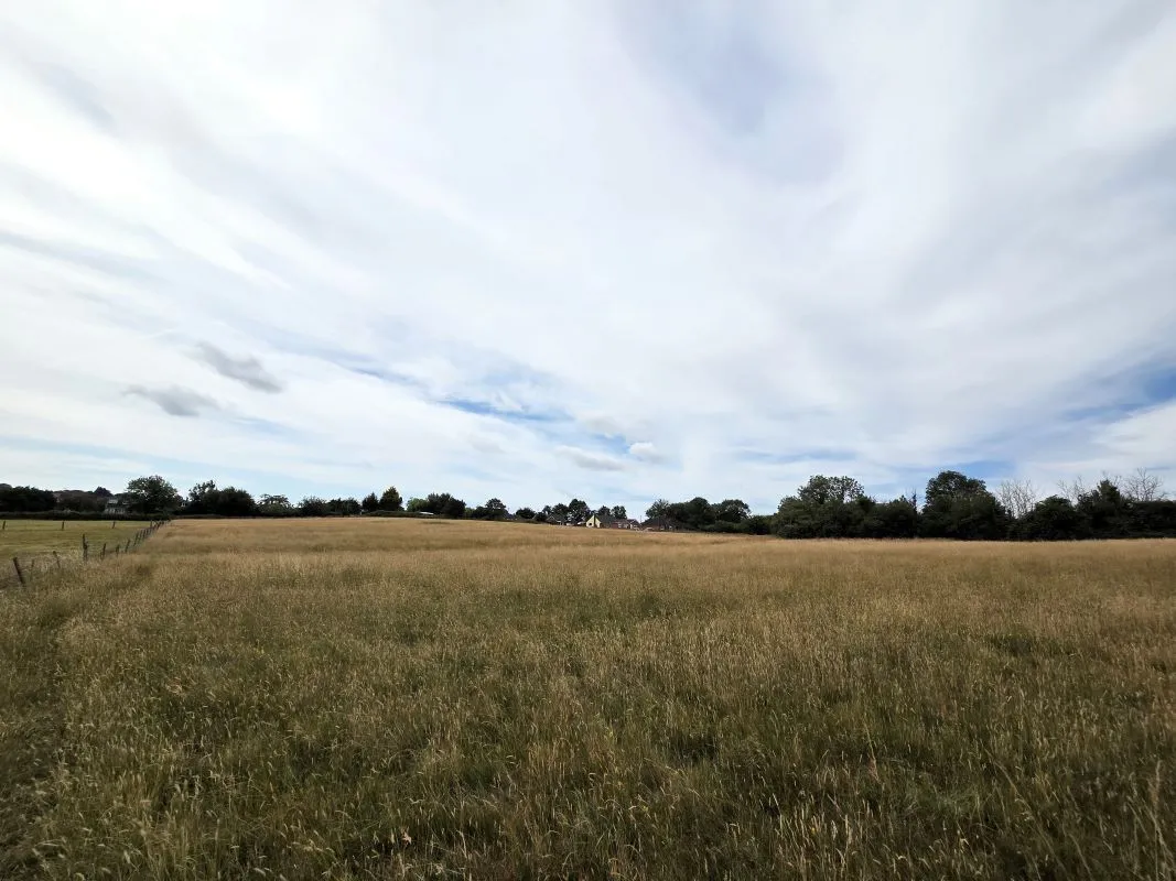 studio property for sale