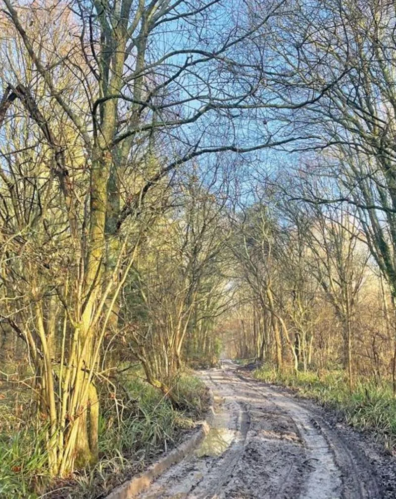 Land to the north side of, Charlwood Lane, Newdigate, Dorking, West Sussex, RH6 0EL