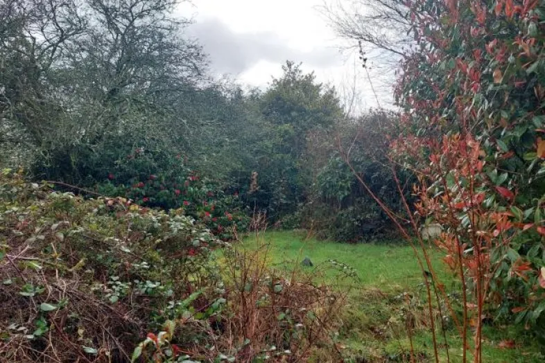 2 Trelawn Cottages, Mount, Bodmin, Cornwall PL30 4ES