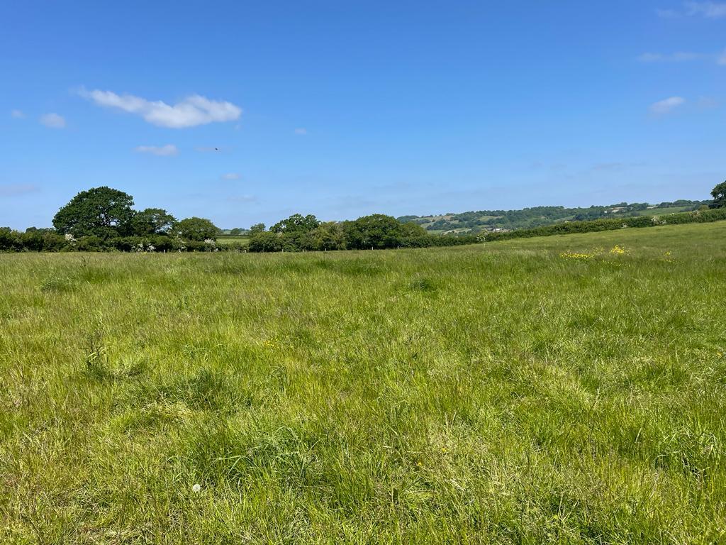 Hardington Mandeville Yeovil, Somerset, BA22