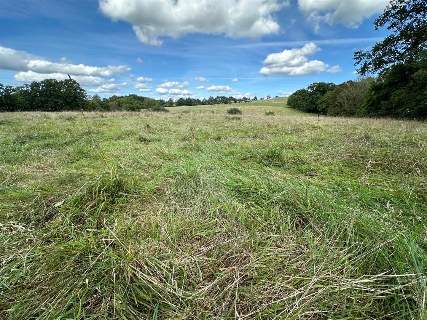 Pipplepen Lane North Perrott, Somerset, TA18