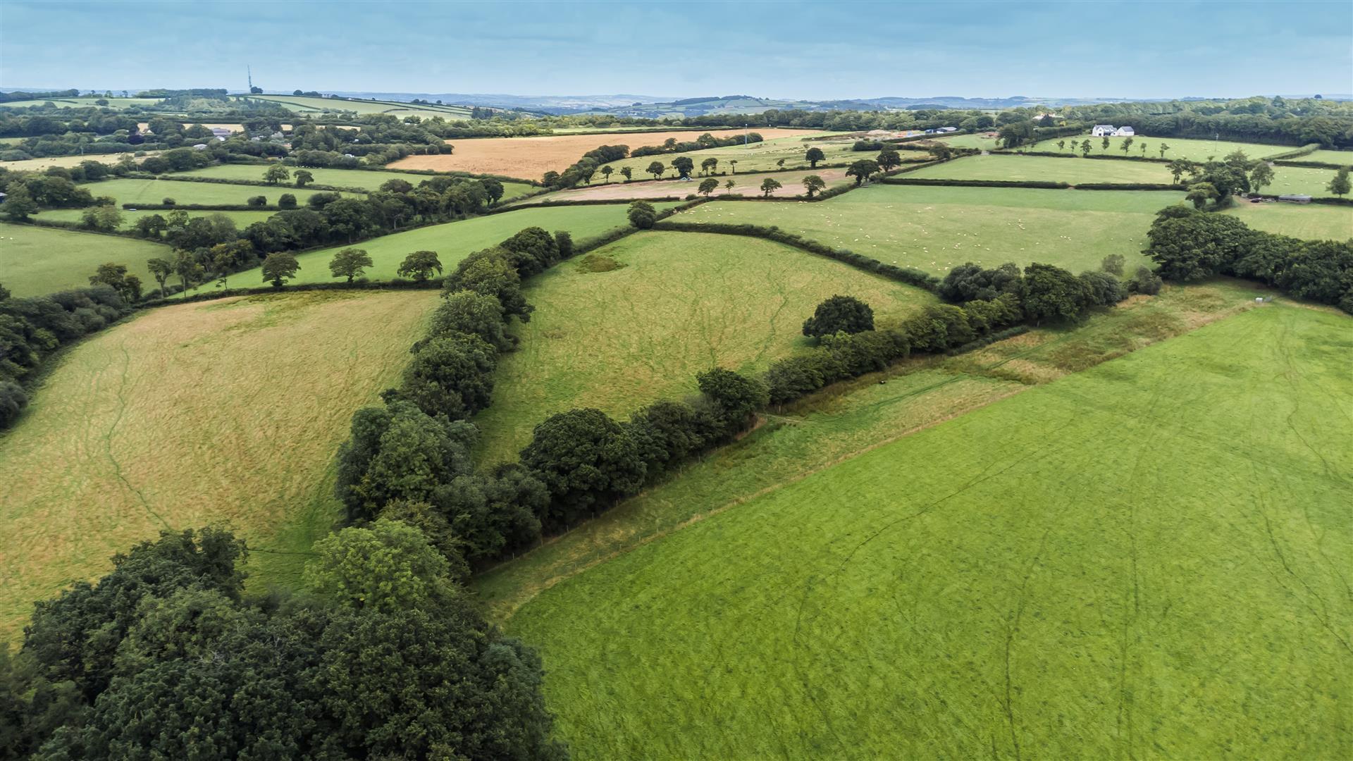 Lot C Land at Tidderson Lane Lower Tidderson, Rackenford, Devon, EX16