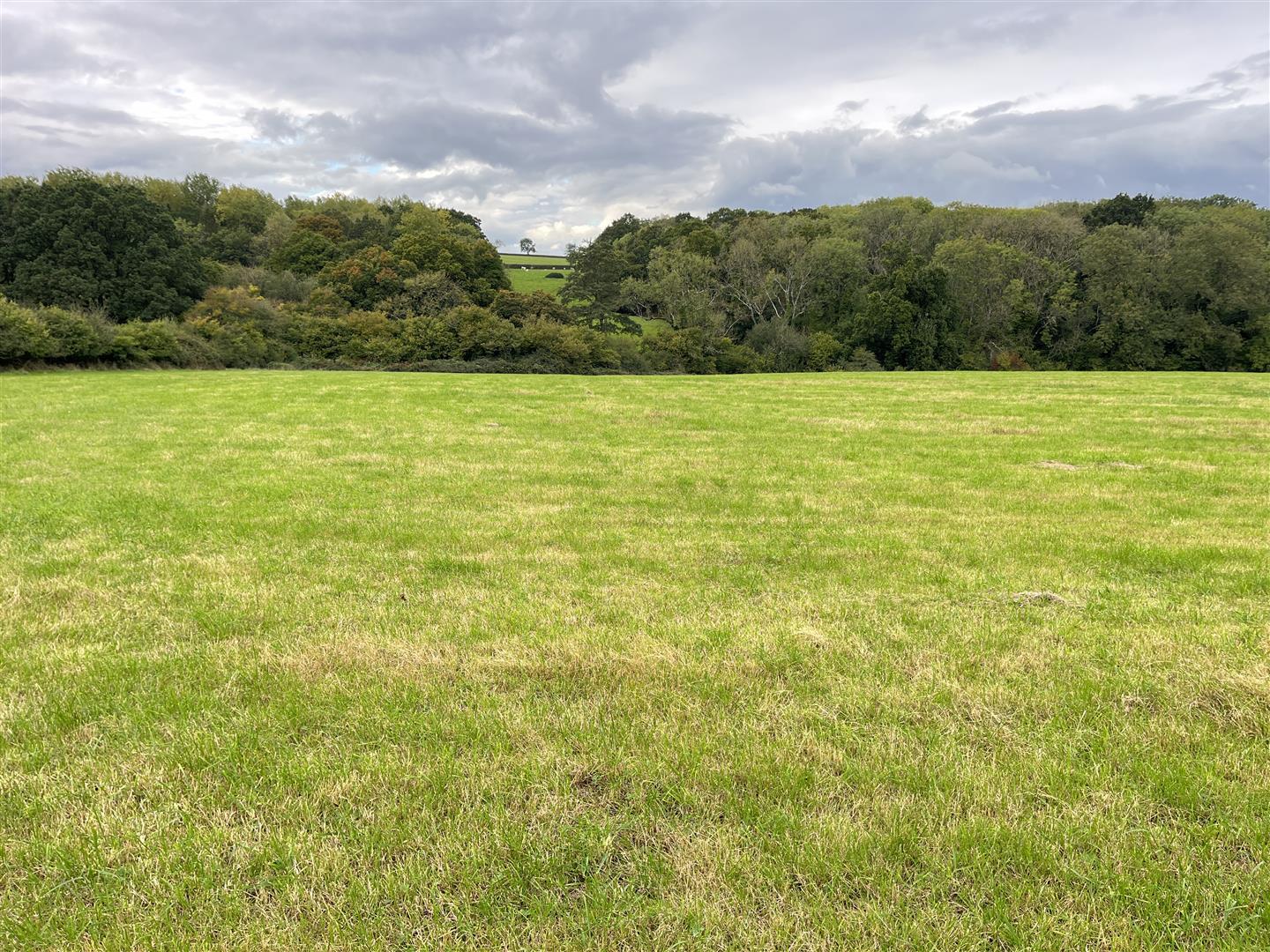 Goathill Lane South Cheriton, Somerset, BA8