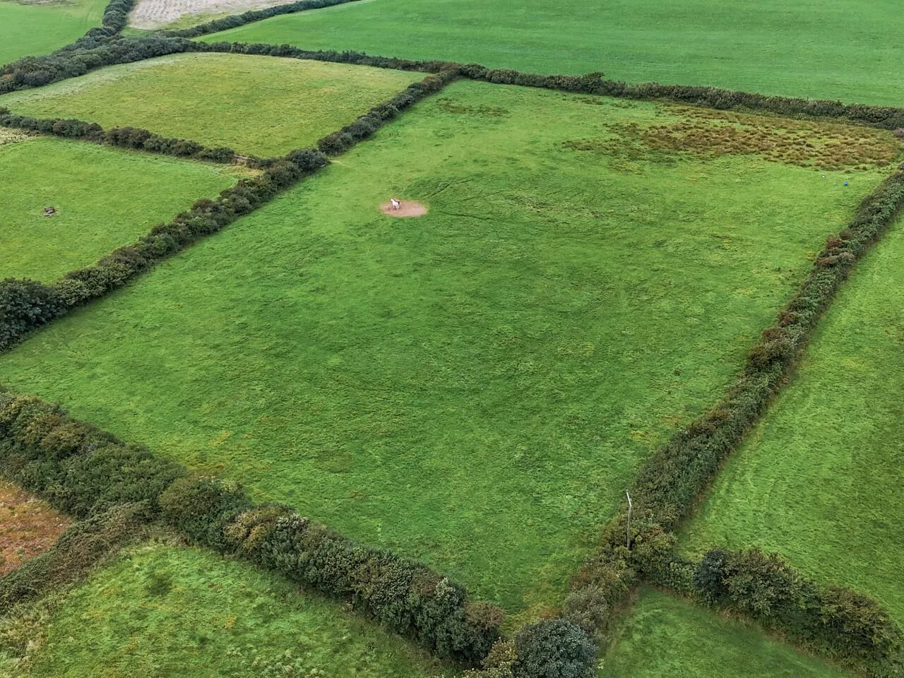 Stowford Moor Bradworthy, Devon, EX22