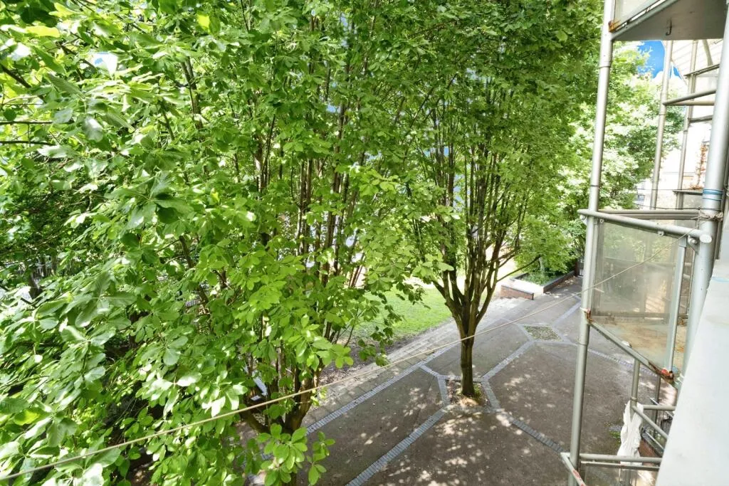 1 bed Apartment