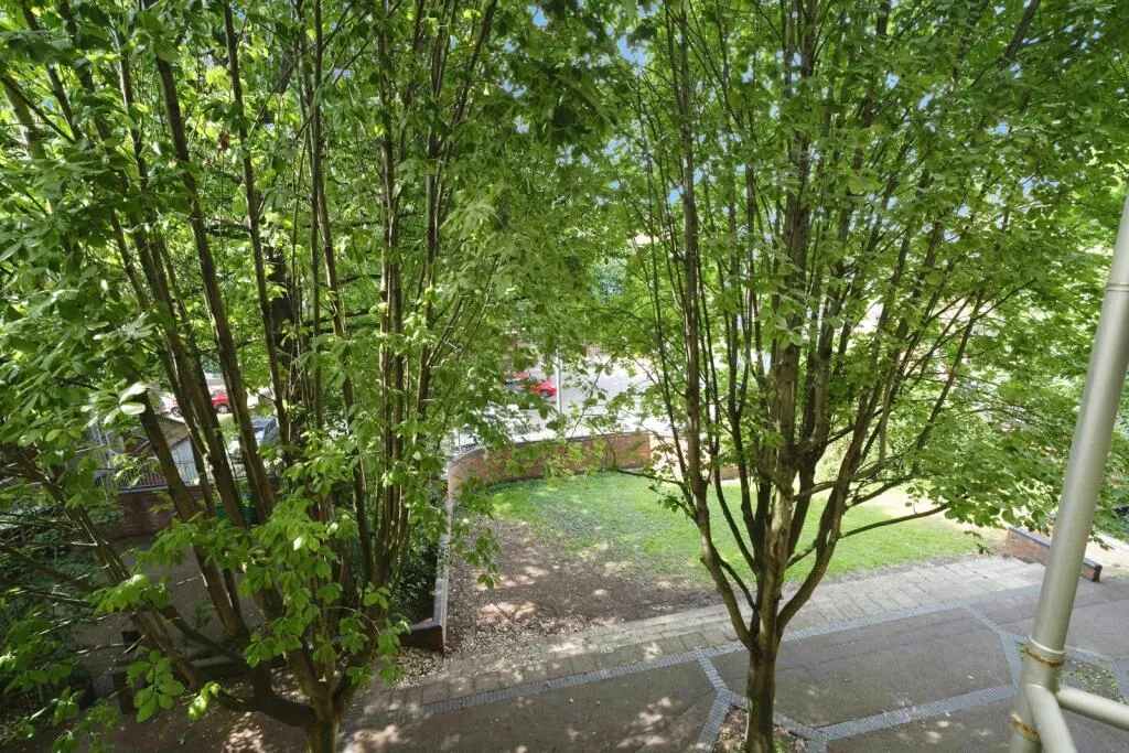 1 bed Apartment