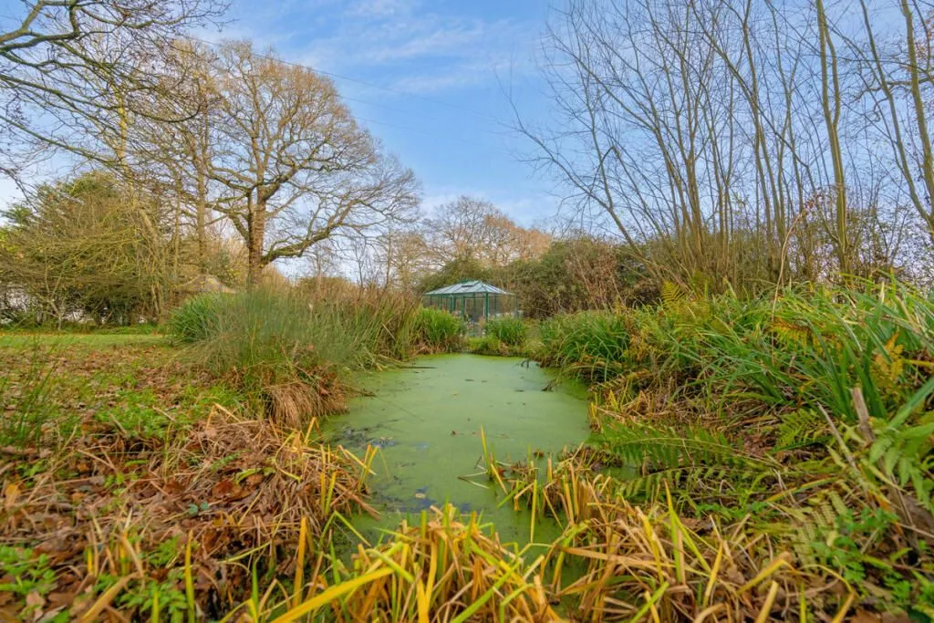 Willow Tree Cottage, Spinning Wheel Lane, Binfield, Bracknell, Berkshire, RG42 5QH - Online Auctions