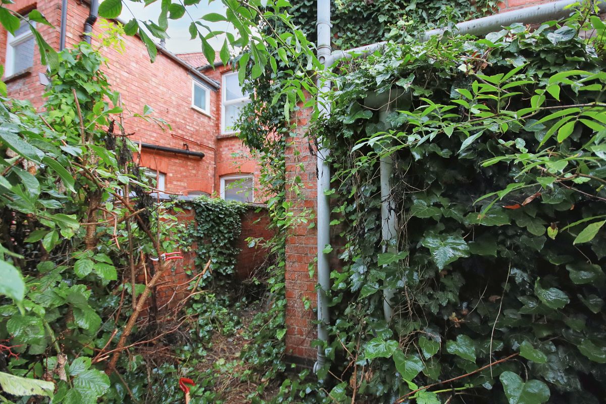 57 Whitworth Road