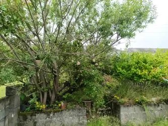 Lot 141 - 40 Trewyddfa Common, Morriston, Swansea, West Glamorgan, SA6 8HN