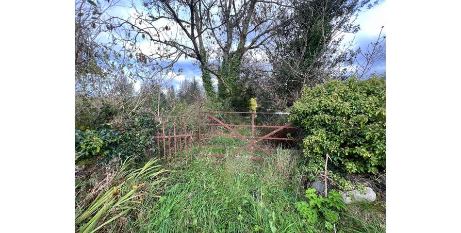 Traditional Welsh Cottage in Need of Modernisation