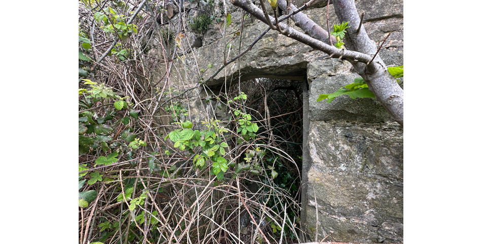 Site of Derelict Former Property In Village Centre