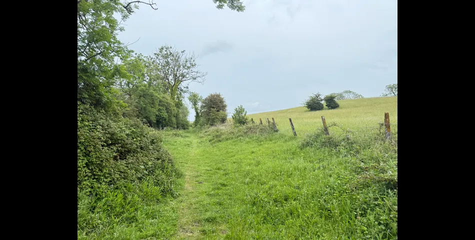 Land Extending to Circa 22 Acres