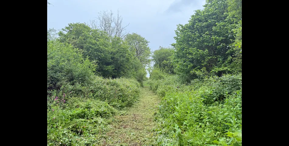 Land Extending to Circa 22 Acres
