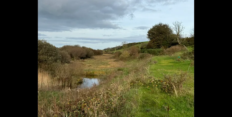 Land Extending to Circa 22 Acres