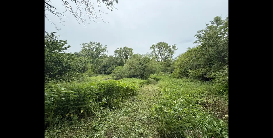 Land Extending to Circa 22 Acres
