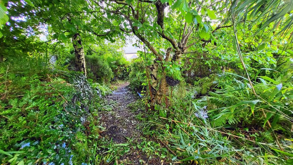 3 bed Character Property