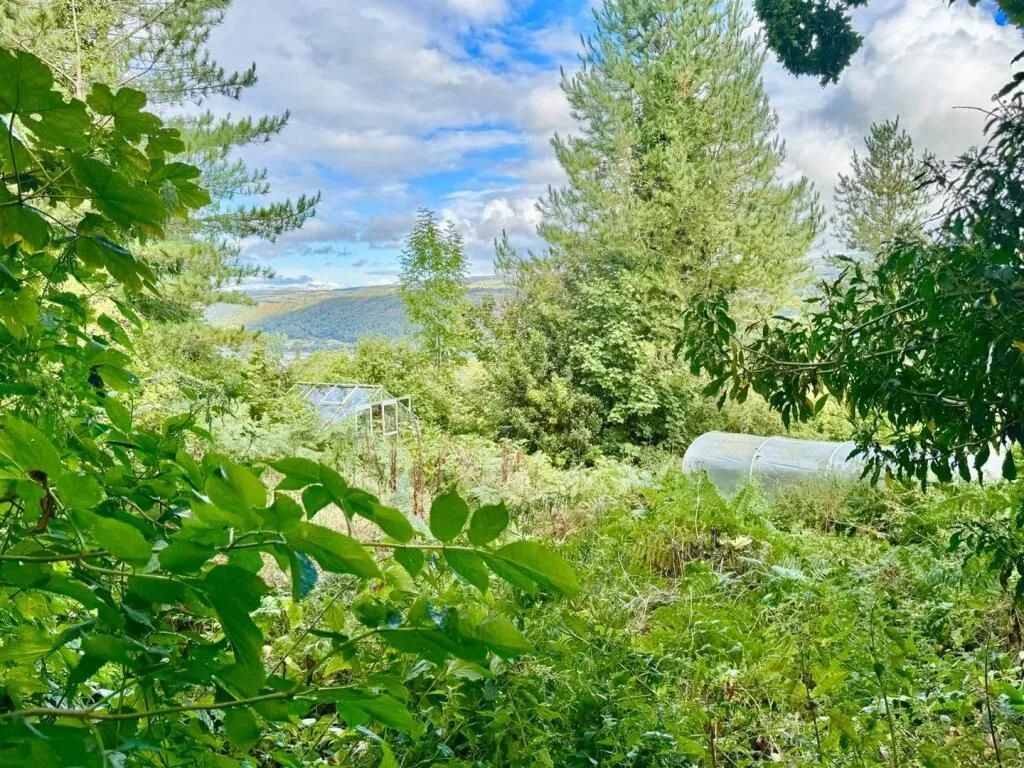 Llidiart y Fadog, Tal-y-Bont, Conwy, LL32 8SH