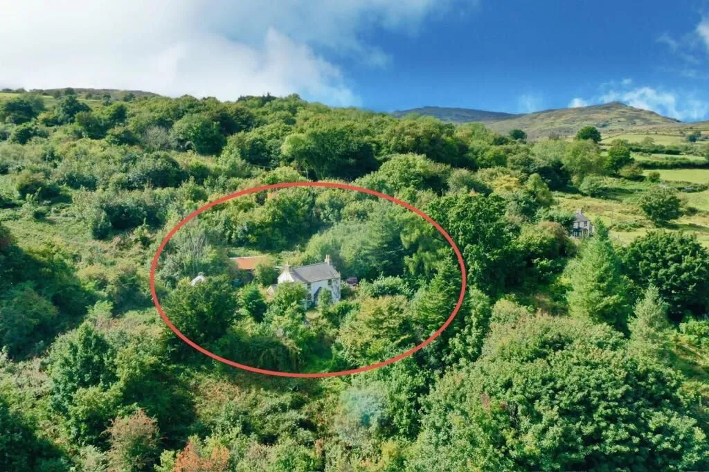 Llidiart y Fadog, Tal-y-Bont, Conwy, LL32 8SH