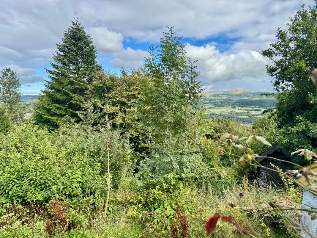 Llidiart y Fadog, Tal-y-Bont, Conwy, LL32 8SH