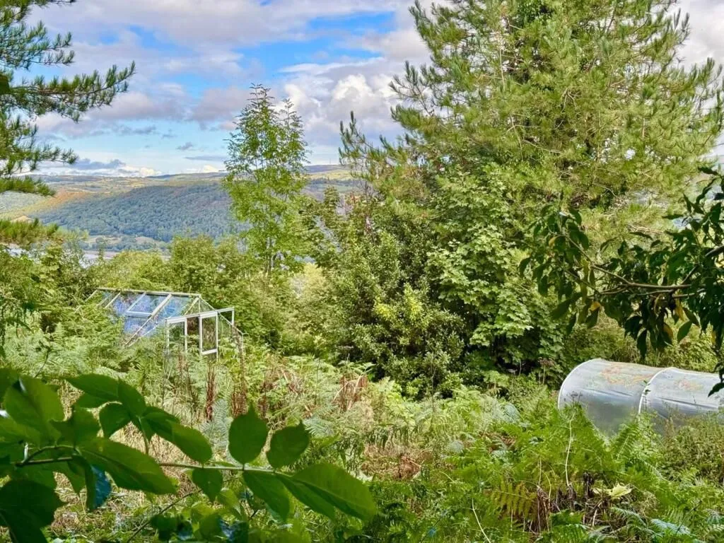 Llidiart y Fadog, Tal-y-Bont, Conwy, LL32 8SH