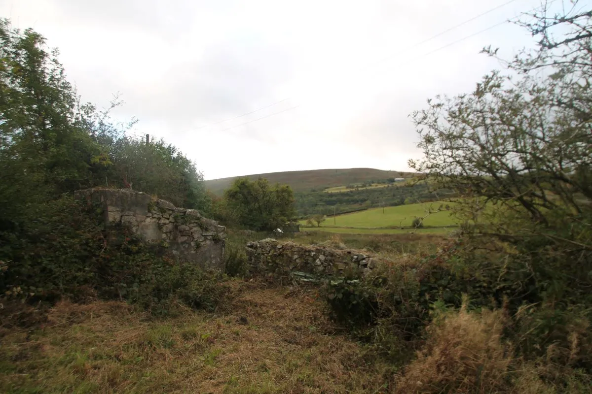 Rose Cottage, Y Gors Gwynfryn, Wrexham, LL11 5UW