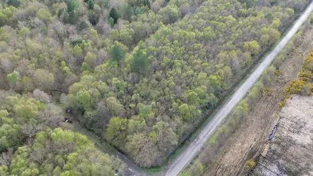 6 Acre Parcel of Freehold Woodland in a very Sought After Location on Wimborne