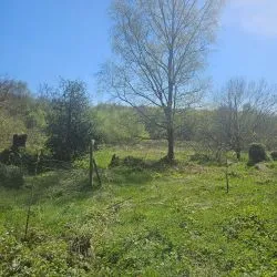 Stone Farmhouse to renovate with over 5 acres including woodland in Normandy in rural hamlet