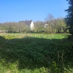 Stone Farmhouse to renovate with over 5 acres including woodland in Normandy in rural hamlet