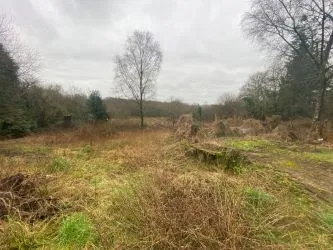 Stone Farmhouse to renovate with over 5 acres including woodland in Normandy in rural hamlet