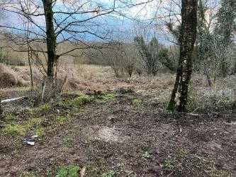 Stone Farmhouse to renovate with over 5 acres including woodland in Normandy in rural hamlet