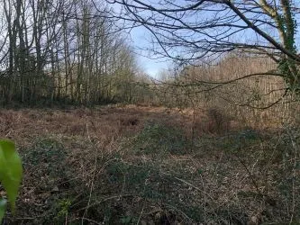 PLOT 1 - Plot of Land Approx. 0.9 Acres in a Popular Location