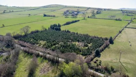 Plot Of Land Extending To 7300 square meters (1.80 Acres) Or Thereabouts, Having A Significant Road Frontage To Bannister Lane And Being In An Elevated Position. Currently Used To Grow Nordmann Fir Trees But Could Be Suitable For Alternative Uses, Subject To Consents Being Granted. The Auctioneers Understand That Public Rights Of Way Cross The Site, But Have Not Made And Further Enquiries In That Regard.