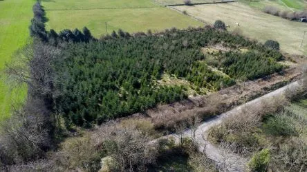 Plot Of Land Extending To 7300 square meters (1.80 Acres) Or Thereabouts, Having A Significant Road Frontage To Bannister Lane And Being In An Elevated Position. Currently Used To Grow Nordmann Fir Trees But Could Be Suitable For Alternative Uses, Subject To Consents Being Granted. The Auctioneers Understand That Public Rights Of Way Cross The Site, But Have Not Made And Further Enquiries In That Regard.