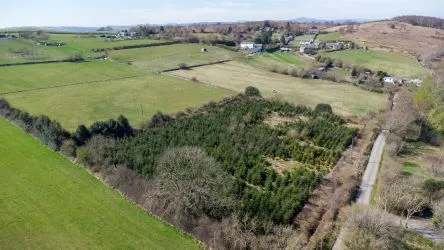 Plot Of Land Extending To 7300 square meters (1.80 Acres) Or Thereabouts, Having A Significant Road Frontage To Bannister Lane And Being In An Elevated Position. Currently Used To Grow Nordmann Fir Trees But Could Be Suitable For Alternative Uses, Subject To Consents Being Granted. The Auctioneers Understand That Public Rights Of Way Cross The Site, But Have Not Made And Further Enquiries In That Regard.