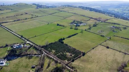 Plot Of Land Extending To 7300 square meters (1.80 Acres) Or Thereabouts, Having A Significant Road Frontage To Bannister Lane And Being In An Elevated Position. Currently Used To Grow Nordmann Fir Trees But Could Be Suitable For Alternative Uses, Subject To Consents Being Granted. The Auctioneers Understand That Public Rights Of Way Cross The Site, But Have Not Made And Further Enquiries In That Regard.