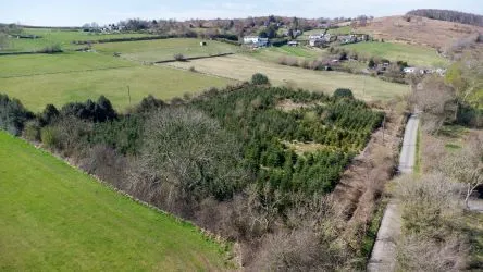 Plot Of Land Extending To 7300 square meters (1.80 Acres) Or Thereabouts, Having A Significant Road Frontage To Bannister Lane And Being In An Elevated Position. Currently Used To Grow Nordmann Fir Trees But Could Be Suitable For Alternative Uses, Subject To Consents Being Granted. The Auctioneers Understand That Public Rights Of Way Cross The Site, But Have Not Made And Further Enquiries In That Regard.