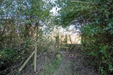 Plot Of Land Extending To 7300 square meters (1.80 Acres) Or Thereabouts, Having A Significant Road Frontage To Bannister Lane And Being In An Elevated Position. Currently Used To Grow Nordmann Fir Trees But Could Be Suitable For Alternative Uses, Subject To Consents Being Granted. The Auctioneers Understand That Public Rights Of Way Cross The Site, But Have Not Made And Further Enquiries In That Regard.