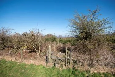 Plot Of Land Extending To 7300 square meters (1.80 Acres) Or Thereabouts, Having A Significant Road Frontage To Bannister Lane And Being In An Elevated Position. Currently Used To Grow Nordmann Fir Trees But Could Be Suitable For Alternative Uses, Subject To Consents Being Granted. The Auctioneers Understand That Public Rights Of Way Cross The Site, But Have Not Made And Further Enquiries In That Regard.