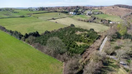 Plot Of Land Extending To 7300 square meters (1.80 Acres) Or Thereabouts, Having A Significant Road Frontage To Bannister Lane And Being In An Elevated Position. Currently Used To Grow Nordmann Fir Trees But Could Be Suitable For Alternative Uses, Subject To Consents Being Granted. The Auctioneers Understand That Public Rights Of Way Cross The Site, But Have Not Made And Further Enquiries In That Regard.