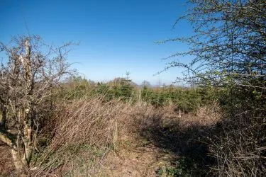 Plot Of Land Extending To 7300 square meters (1.80 Acres) Or Thereabouts, Having A Significant Road Frontage To Bannister Lane And Being In An Elevated Position. Currently Used To Grow Nordmann Fir Trees But Could Be Suitable For Alternative Uses, Subject To Consents Being Granted. The Auctioneers Understand That Public Rights Of Way Cross The Site, But Have Not Made And Further Enquiries In That Regard.