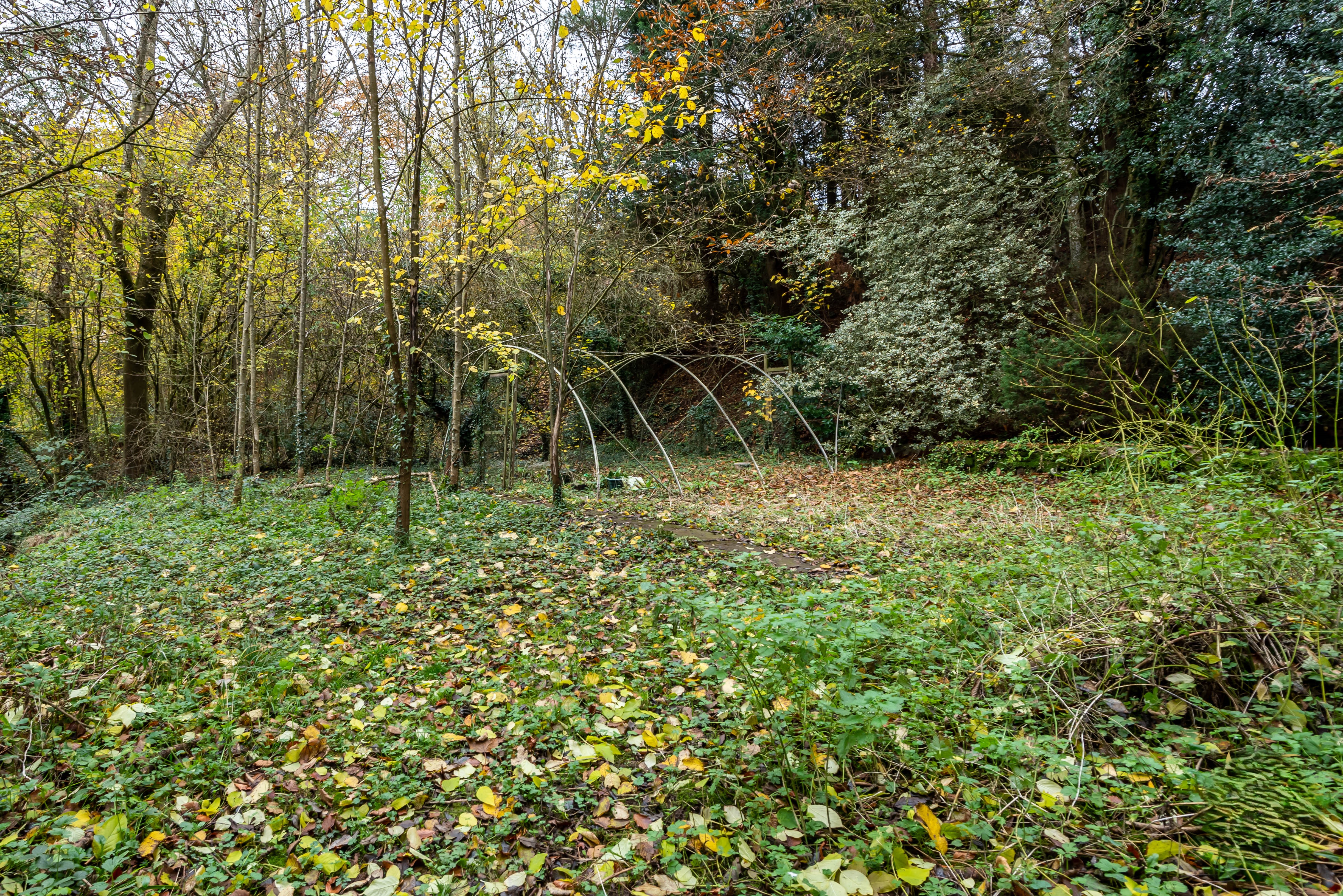 3 Bedroom Bungalow with 2.5 acres in Worcestershire