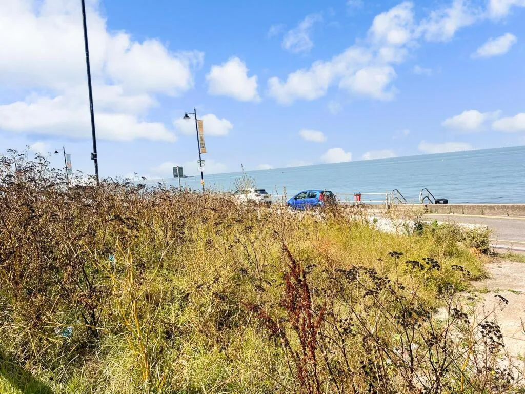 Development Land