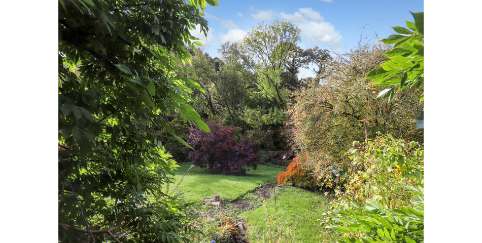 16TH CENTURY THATCHED COTTAGE THREE DOUBLE BEDROOMS SOUTH FACING REAR GARDEN SPACIOUS KITCHEN/DINER 