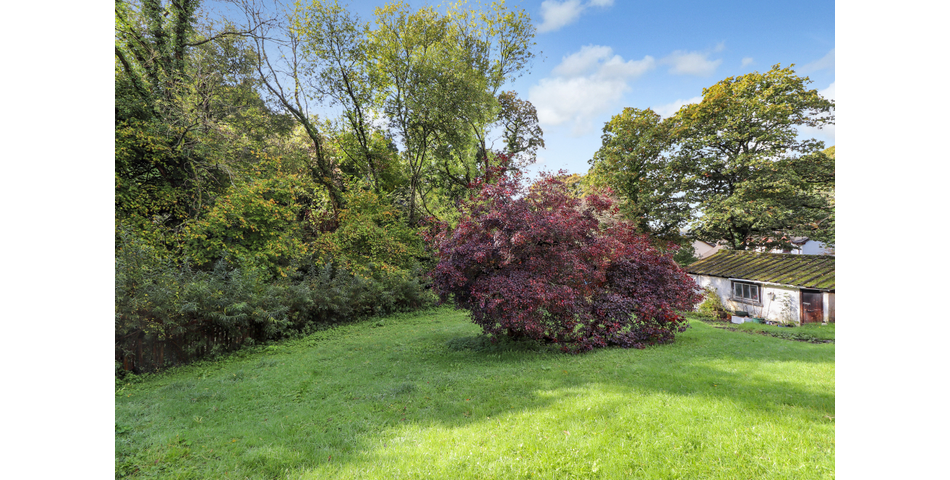16TH CENTURY THATCHED COTTAGE THREE DOUBLE BEDROOMS SOUTH FACING REAR GARDEN SPACIOUS KITCHEN/DINER 